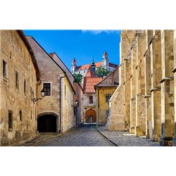Старый город и замок Братислава, Словакия - Фотообои Старый город - Модульная картины, Репродукции, Декоративные панно, Декор стен