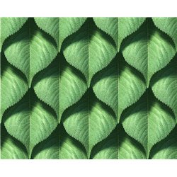 Зеленая листва - 3D фотообои|Стереоскопические обои - Модульная картины, Репродукции, Декоративные панно, Декор стен