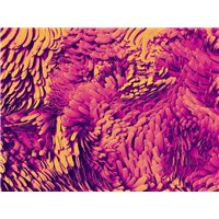 Портреты картины репродукции на заказ - Яркие краски - 3D фотообои|Стереоскопические обои