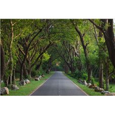 Картина на холсте по фото Модульные картины Печать портретов на холсте Пригород - Фотообои Расширяющие пространство
