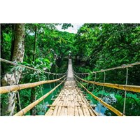 Портреты картины репродукции на заказ - Тропический лес - Фотообои Расширяющие пространство