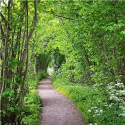 Тропинка в лесу - Фотообои Расширяющие пространство - Модульная картины, Репродукции, Декоративные панно, Декор стен