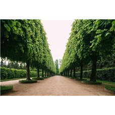Картина на холсте по фото Модульные картины Печать портретов на холсте Дворцовый парк - Фотообои Расширяющие пространство