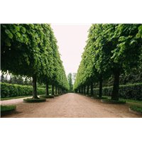 Портреты картины репродукции на заказ - Дворцовый парк - Фотообои Расширяющие пространство