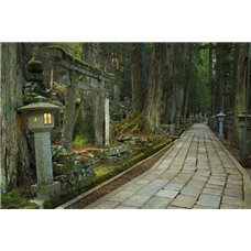 Картина на холсте по фото Модульные картины Печать портретов на холсте Парк - Фотообои Расширяющие пространство