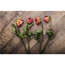Картина на холсте по фото Модульные картины Печать портретов на холсте Розы - Черно-белые фотообои
