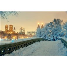 Картина на холсте по фото Модульные картины Печать портретов на холсте Зимний парк - Фотообои Японские и просто сады|зимний сад