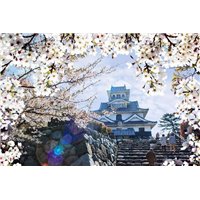 Портреты картины репродукции на заказ - Замок Нагахама - Фотообои Японские и просто сады