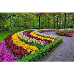 Тюльпаны - Фотообои Японские и просто сады - Модульная картины, Репродукции, Декоративные панно, Декор стен