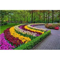 Портреты картины репродукции на заказ - Тюльпаны - Фотообои Японские и просто сады