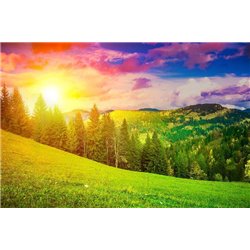 Луга на закате - Фотообои природа|поля - Модульная картины, Репродукции, Декоративные панно, Декор стен