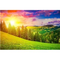 Портреты картины репродукции на заказ - Луга на закате - Фотообои природа|поля