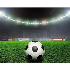 Картина на холсте по фото Модульные картины Печать портретов на холсте Ночная игра - Фотообои спорт