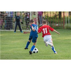 Игра - Фотообои спорт - Модульная картины, Репродукции, Декоративные панно, Декор стен