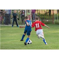 Портреты картины репродукции на заказ - Игра - Фотообои спорт
