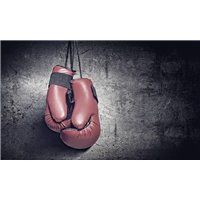 Портреты картины репродукции на заказ - Перчатки - Фотообои спорт