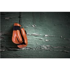 Картина на холсте по фото Модульные картины Печать портретов на холсте Перчатки для бокса - Фотообои спорт