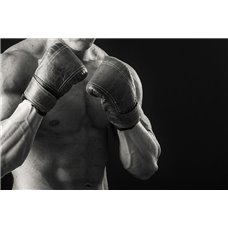 Картина на холсте по фото Модульные картины Печать портретов на холсте Чемпион - Фотообои спорт