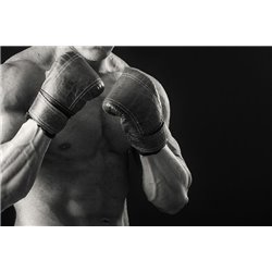 Чемпион - Фотообои спорт - Модульная картины, Репродукции, Декоративные панно, Декор стен