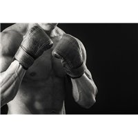 Портреты картины репродукции на заказ - Чемпион - Фотообои спорт
