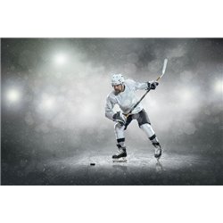 Игрок - Фотообои спорт - Модульная картины, Репродукции, Декоративные панно, Декор стен