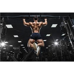 Тренажерный зал - Фотообои спорт - Модульная картины, Репродукции, Декоративные панно, Декор стен
