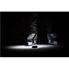 Картина на холсте по фото Модульные картины Печать портретов на холсте На льду - Фотообои спорт