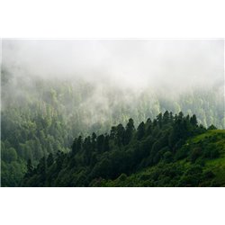 Туман над лесом в горах - Фотообои природа - Модульная картины, Репродукции, Декоративные панно, Декор стен