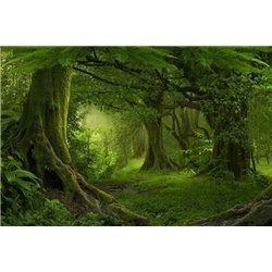 Лесной пейзаж - Фотообои природа - Модульная картины, Репродукции, Декоративные панно, Декор стен