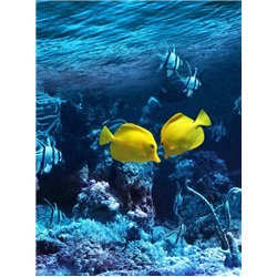 Морское дно - Фотообои Море - Модульная картины, Репродукции, Декоративные панно, Декор стен