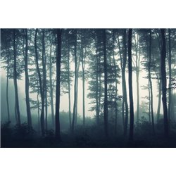Туманный лес - Фотообои природа - Модульная картины, Репродукции, Декоративные панно, Декор стен