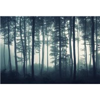 Портреты картины репродукции на заказ - Туманный лес - Фотообои природа