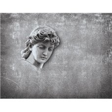 Картина на холсте по фото Модульные картины Печать портретов на холсте Голова - Фотообои Арт