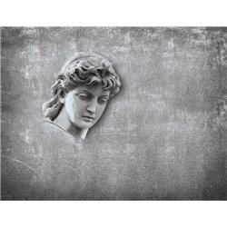Голова - Фотообои Арт - Модульная картины, Репродукции, Декоративные панно, Декор стен