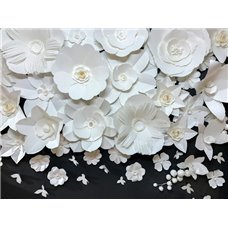 Картина на холсте по фото Модульные картины Печать портретов на холсте Белое на черном - 3D фотообои
