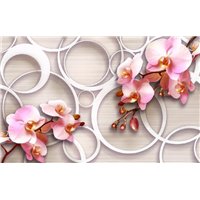 Портреты картины репродукции на заказ - Ветки орхидей - 3D фотообои