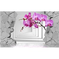 Портреты картины репродукции на заказ - Яркий путь - 3D фотообои
