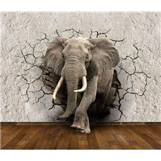 Картина на холсте по фото Модульные картины Печать портретов на холсте Слон - 3D фотообои
