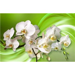 Цветочная свежесть - 3D фотообои|3Д обои на кухню - Модульная картины, Репродукции, Декоративные панно, Декор стен