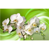 Портреты картины репродукции на заказ - Цветочная свежесть - 3D фотообои|3Д обои на кухню
