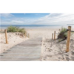 Путь к морю - Фотообои Море - Модульная картины, Репродукции, Декоративные панно, Декор стен