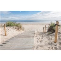 Портреты картины репродукции на заказ - Путь к морю - Фотообои Море