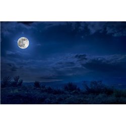 Ночная красота - Фотообои природа - Модульная картины, Репродукции, Декоративные панно, Декор стен