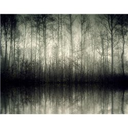 Осенний лес - Фотообои природа - Модульная картины, Репродукции, Декоративные панно, Декор стен