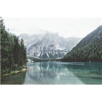 Портреты картины репродукции на заказ - Снежная природа - Фотообои природа