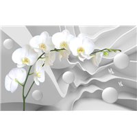 Портреты картины репродукции на заказ - Ветка белой орхидеи - 3D фотообои|3D цветы