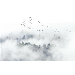 Дымка над лесом - Фотообои природа|лес - Модульная картины, Репродукции, Декоративные панно, Декор стен