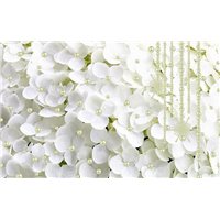 Портреты картины репродукции на заказ - Белоснежная гортензия - 3D фотообои|3D цветы