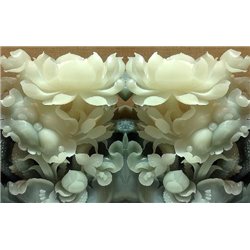 Восковые цветы - 3D фотообои - Модульная картины, Репродукции, Декоративные панно, Декор стен