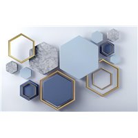 Портреты картины репродукции на заказ - Шестиугольники с рамками - 3D фотообои|3D фигуры